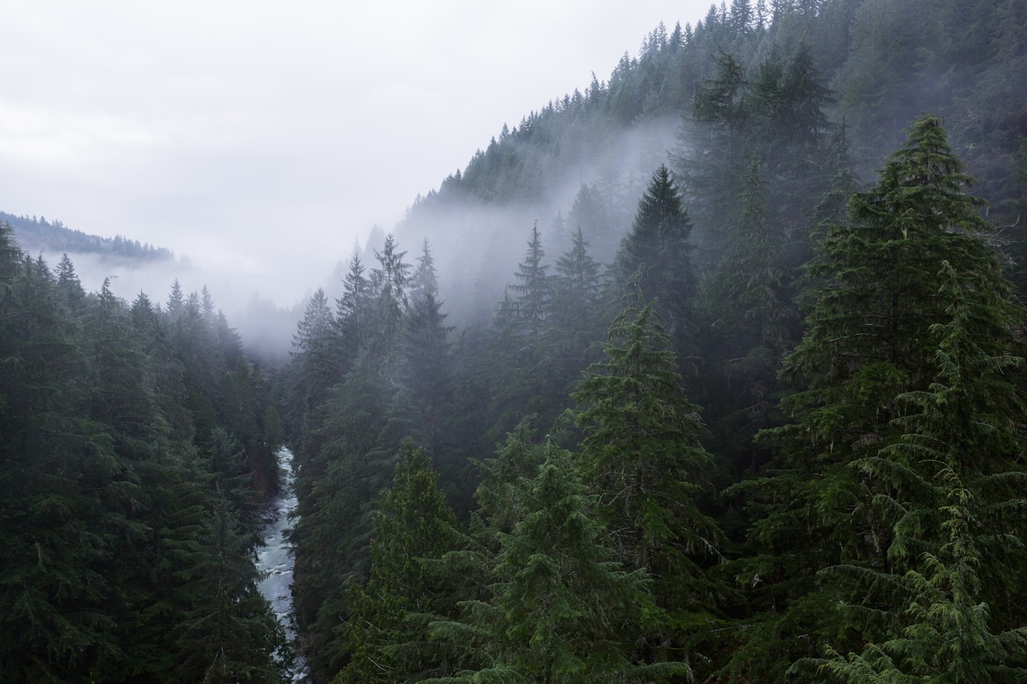 Ten Times Bigfoot Nearly Broke The Internet